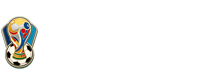 世界杯半决赛直播